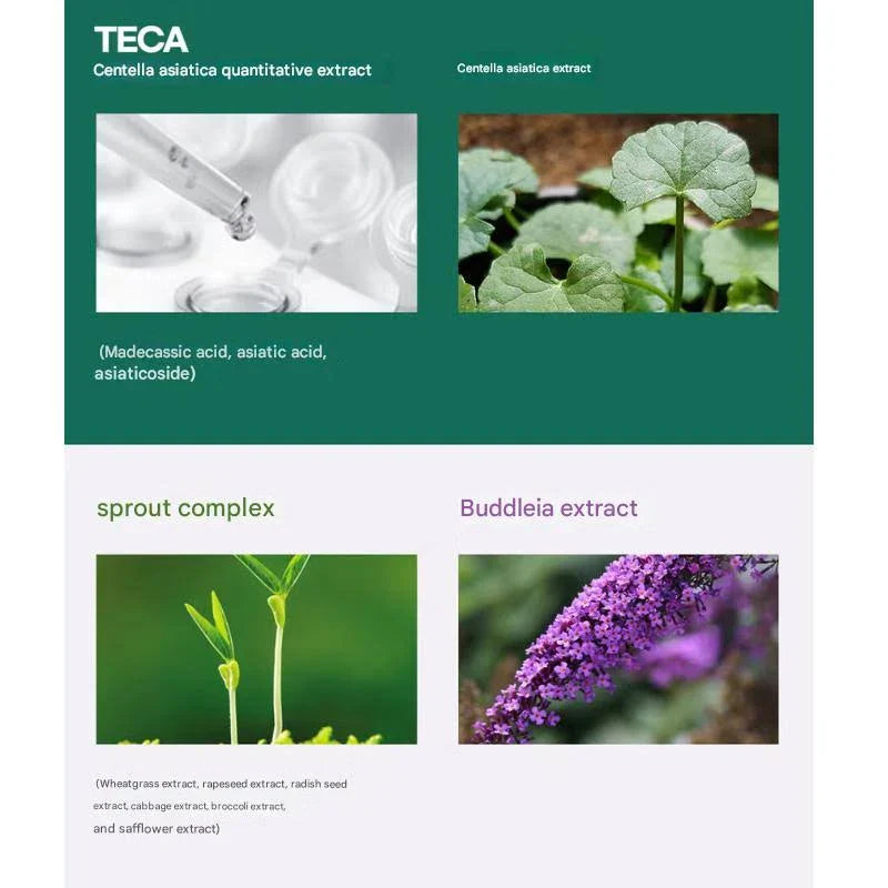 Madeca Soothing Cleanser