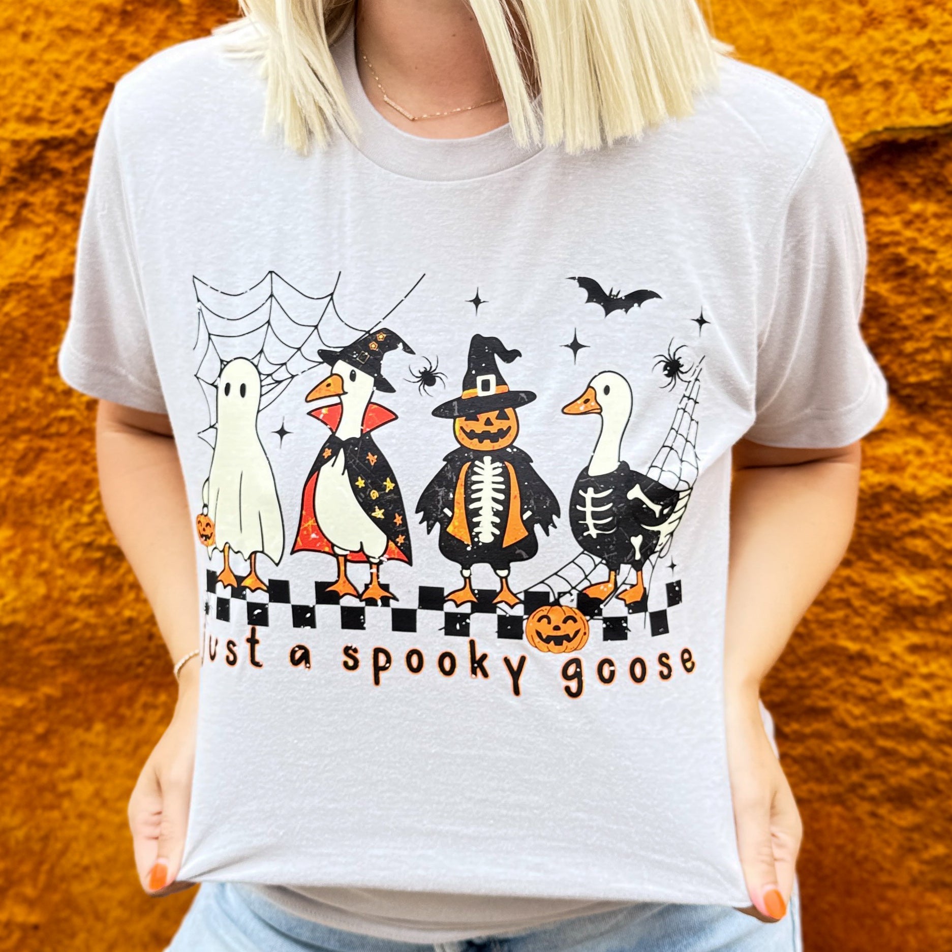 Just A Spooky Goose Soft Graphic Tee
