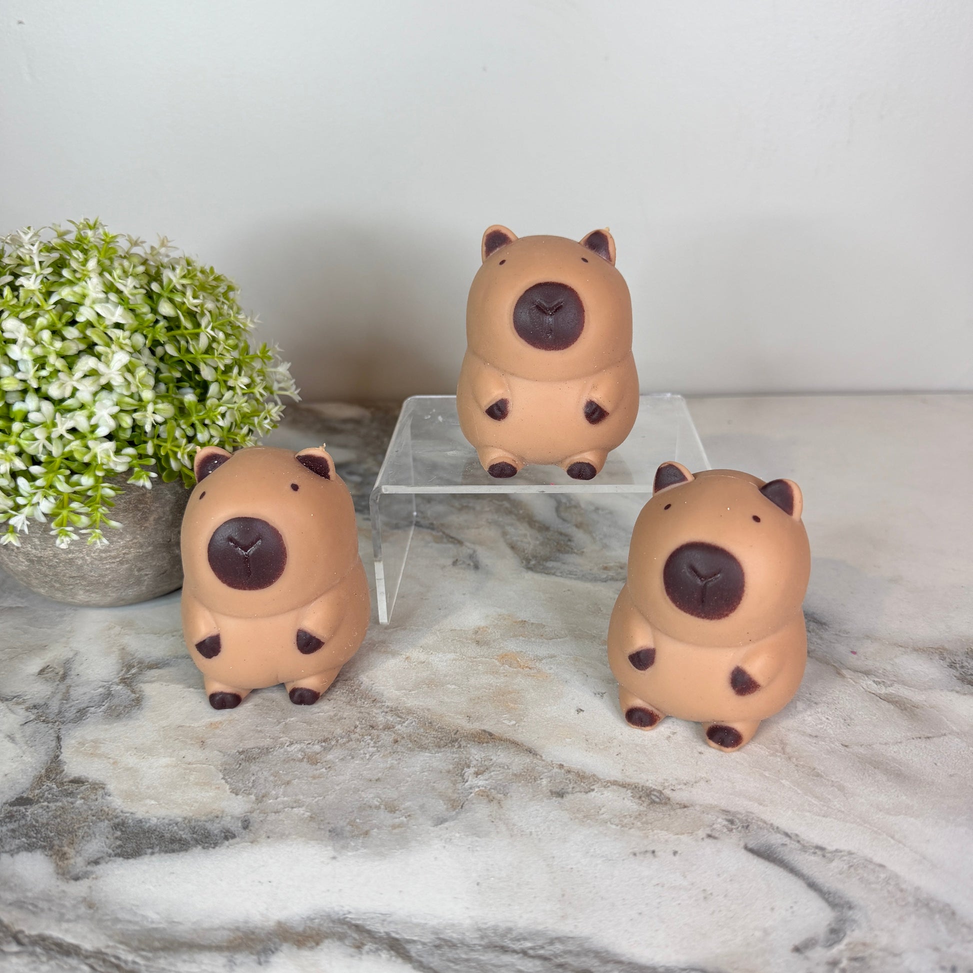 Squishy Toy - Capybara