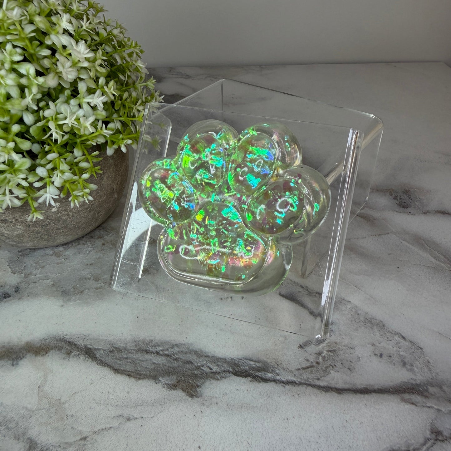 Squishy Toy - Paw Print, Glitter - PREORDER