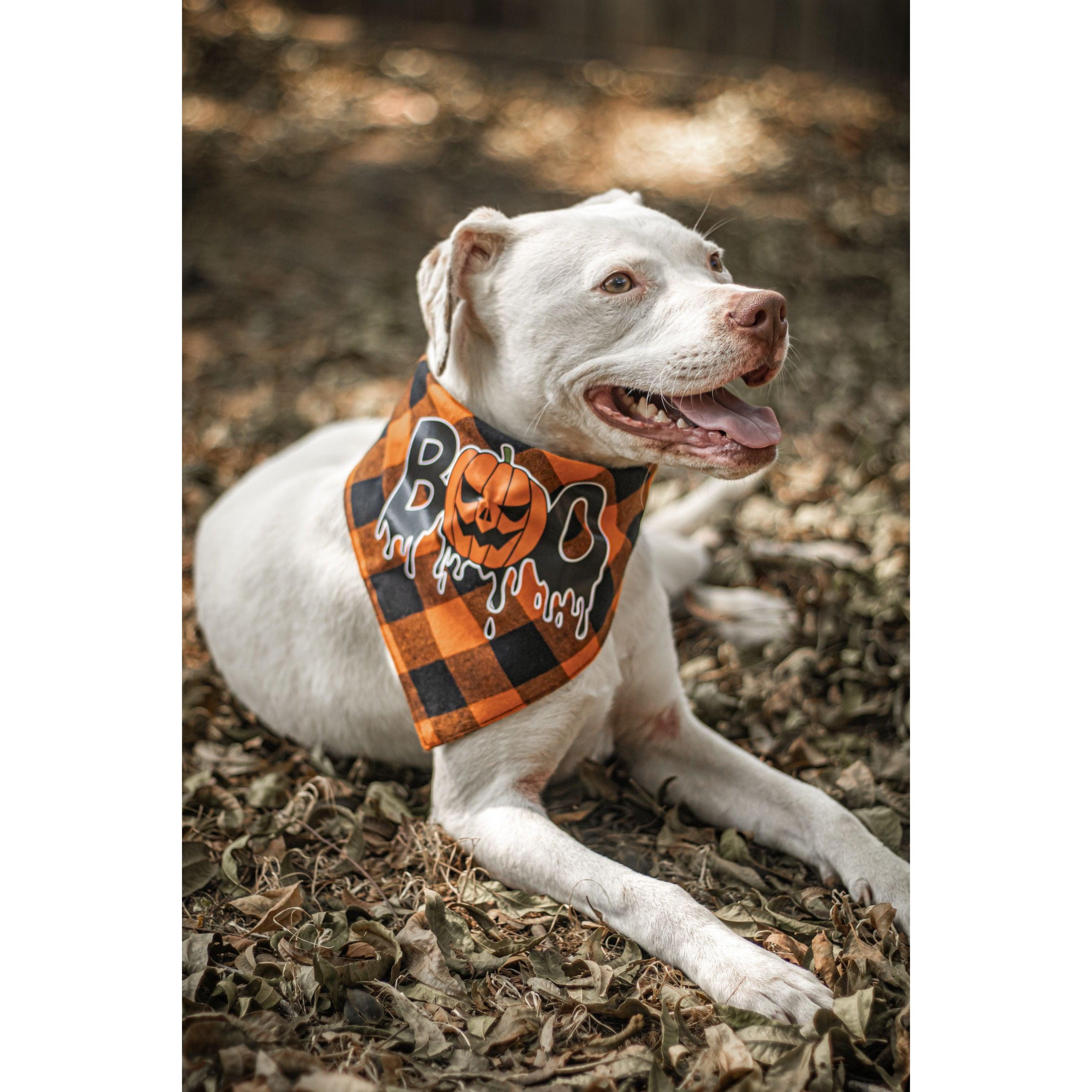 Ready to Ship | Halloween Dog Triangle Collar/Scarf*