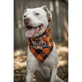 Julia Rose Halloween dog triangle collar scarf, Halloween dog bandana triangle style