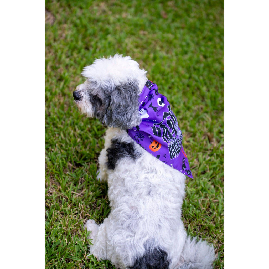 Julia Rose Halloween dog triangle collar scarf, Halloween dog bandana triangle style