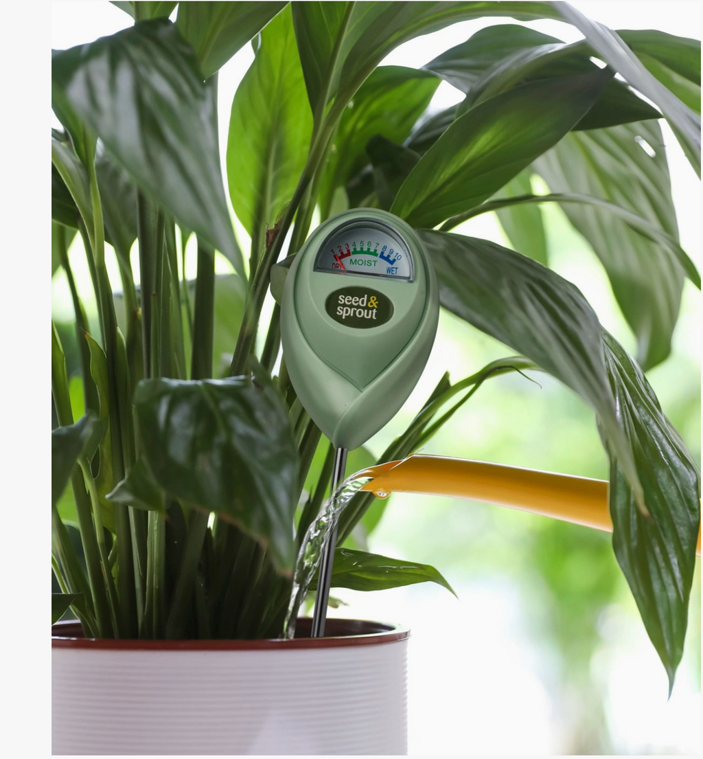 Seed & Sprout Potted Plant Moisture Meter