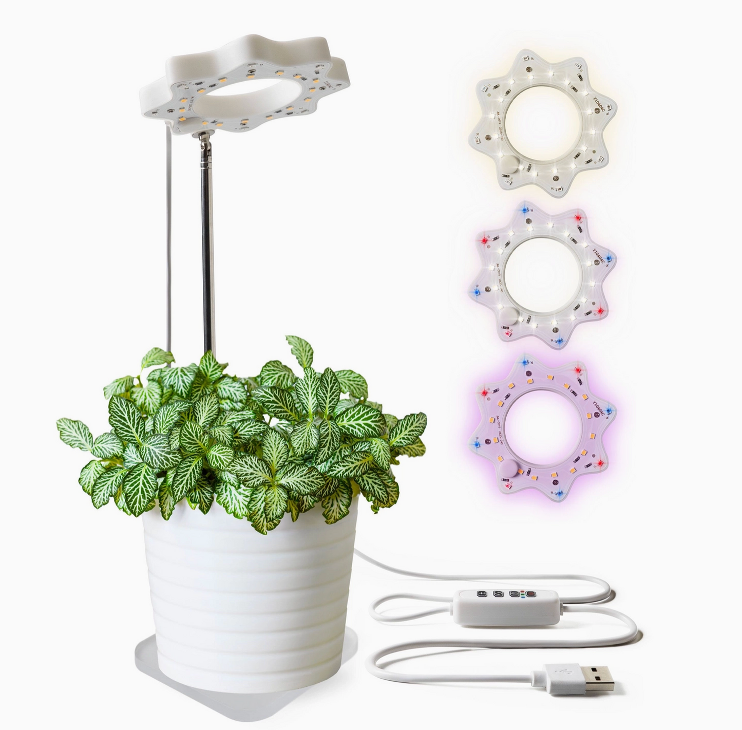 Seed N Sprout Bloomie Indoor Grow Light