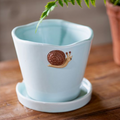 Snail Pot