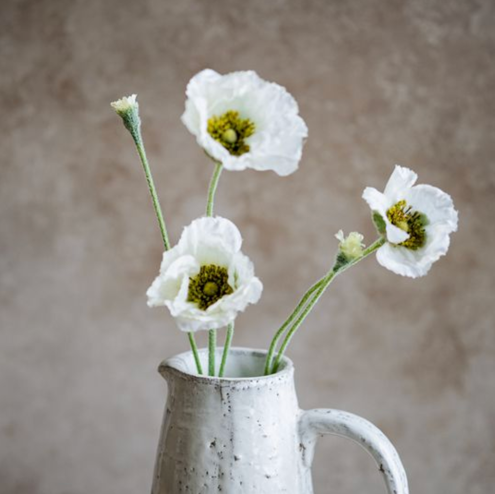 Cream Poppy Stem