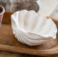 White Clam Shell Bowl