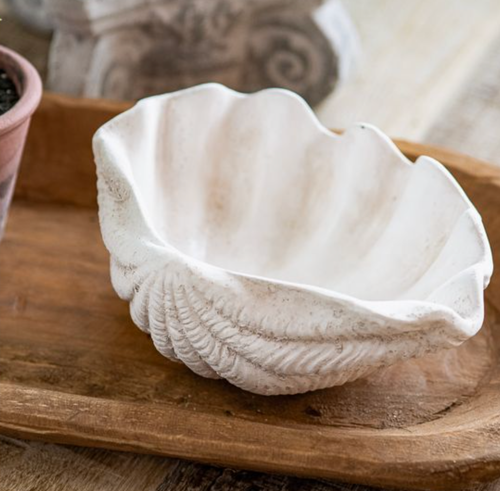White Clam Shell Bowl